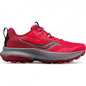 Saucony Blaze TR Trailrunning Schuhe Damen Rosa | BERLIN VOYBLS