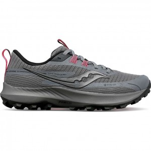 Saucony Peregrine 13 GTX Trailrunning Schuhe Damen Grau | BERLIN HQGYKZ