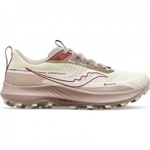 Saucony Peregrine 13 GTX Trailrunning Schuhe Damen Weiß | BERLIN ZBFWPU