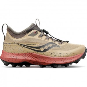 Saucony Peregrine 13 ST Trailrunning Schuhe Damen Braun | BERLIN QLFYND