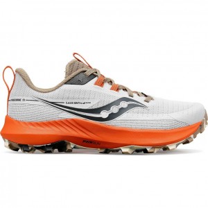 Saucony Peregrine 13 Trailrunning Schuhe Damen Weiß | BERLIN ZXKRLD