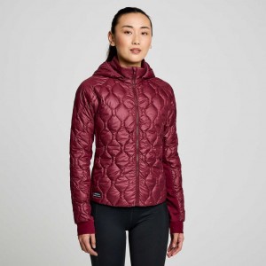 Saucony Solstice Oysterpuff Jacke Damen Bordeaux | BERLIN DEFGPZ