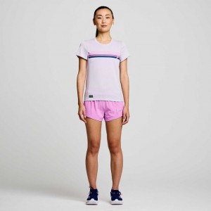 Saucony Stopwatch Graphic Kurzes Sleeve T-Shirt Damen Lila | BERLIN GHSOFA