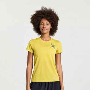 Saucony Stopwatch Graphic Kurzes Sleeve T-Shirt Damen Gelb | BERLIN RWYDNV