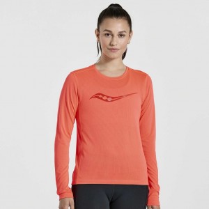 Saucony Stopwatch Graphic Long Sleeve T-Shirt Damen Orange | BERLIN JNZHCA