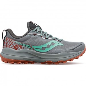 Saucony Xodus Ultra 2 Trailrunning Schuhe Damen Grau | BERLIN VWYTXK