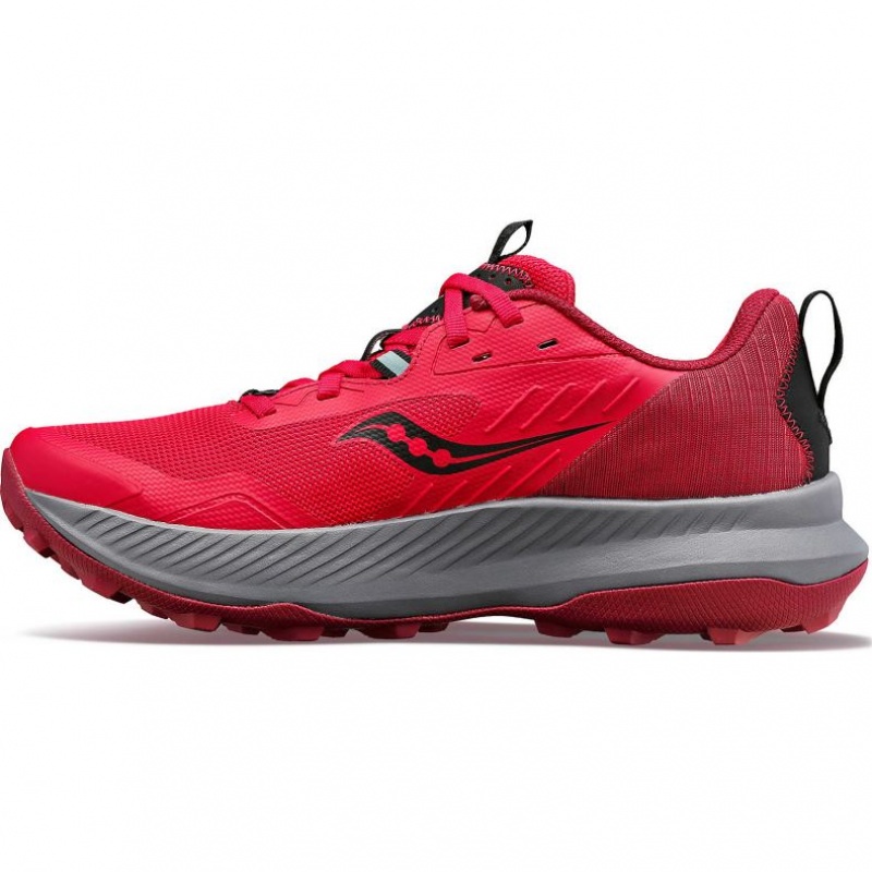 Saucony Blaze TR Trailrunning Schuhe Damen Rosa | BERLIN VOYBLS