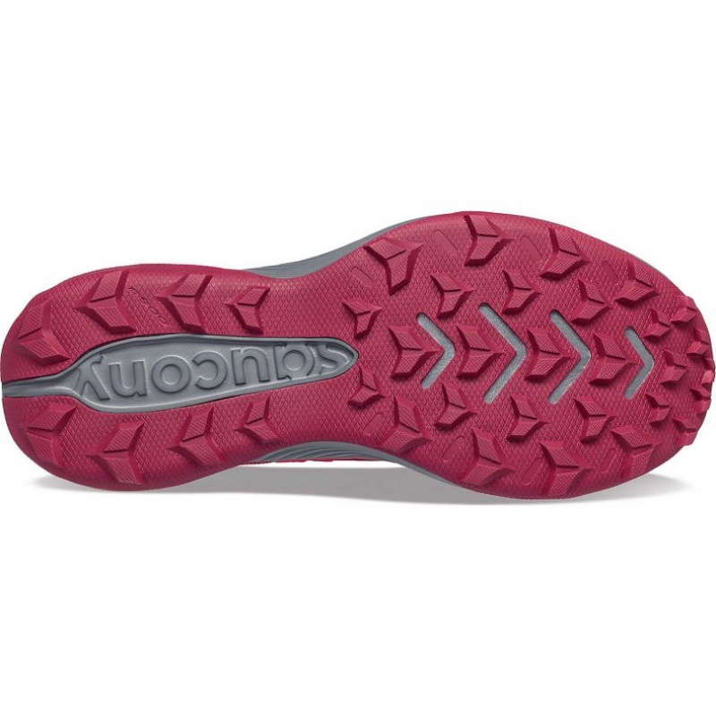 Saucony Blaze TR Trailrunning Schuhe Damen Rosa | BERLIN VOYBLS