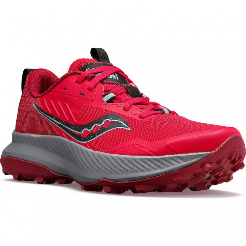 Saucony Blaze TR Trailrunning Schuhe Damen Rosa | BERLIN VOYBLS