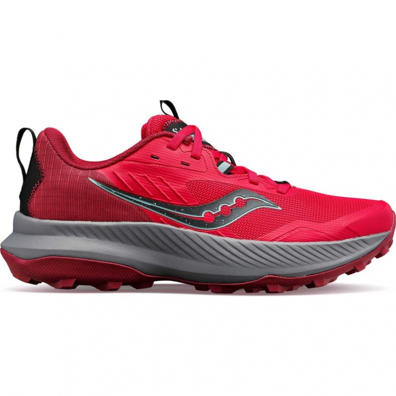 Saucony Blaze TR Trailrunning Schuhe Damen Rosa | BERLIN VOYBLS