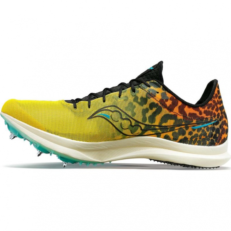 Saucony Endorphin Cheetah Laufschuhe Damen Mehrfarbig | BERLIN COKXMU