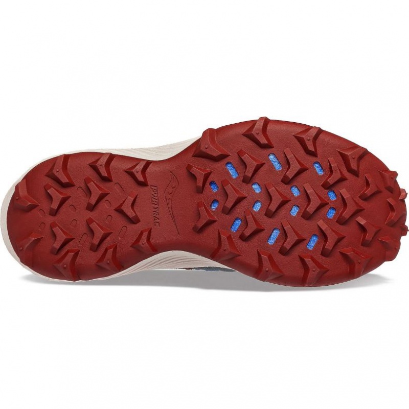 Saucony Endorphin Rift Trailrunning Schuhe Damen Grau | BERLIN YKEMTP
