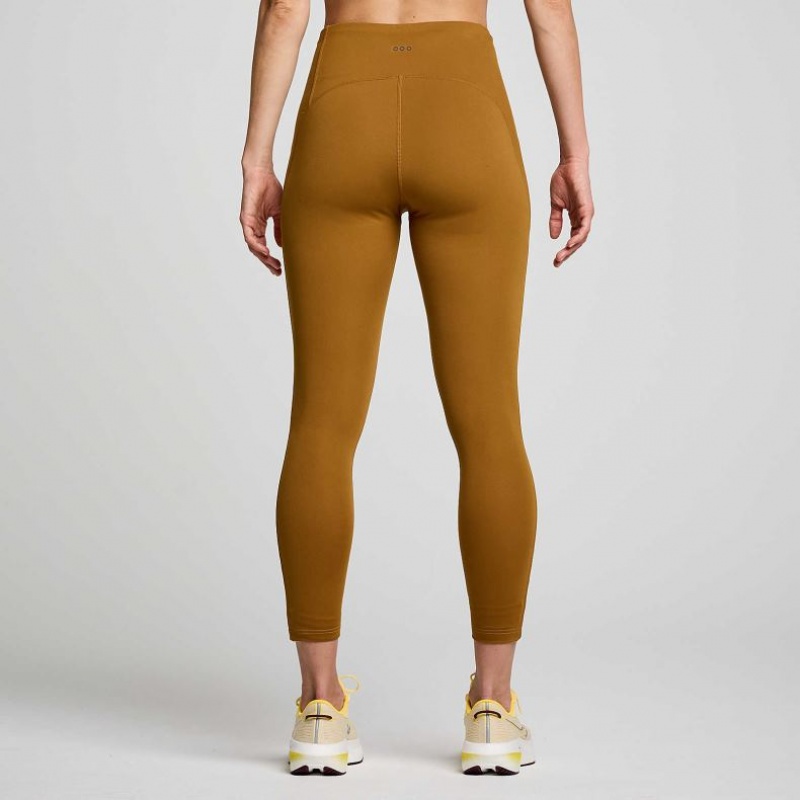 Saucony Fortify Viz Strumpfhose Damen Braun | BERLIN GHWMXZ