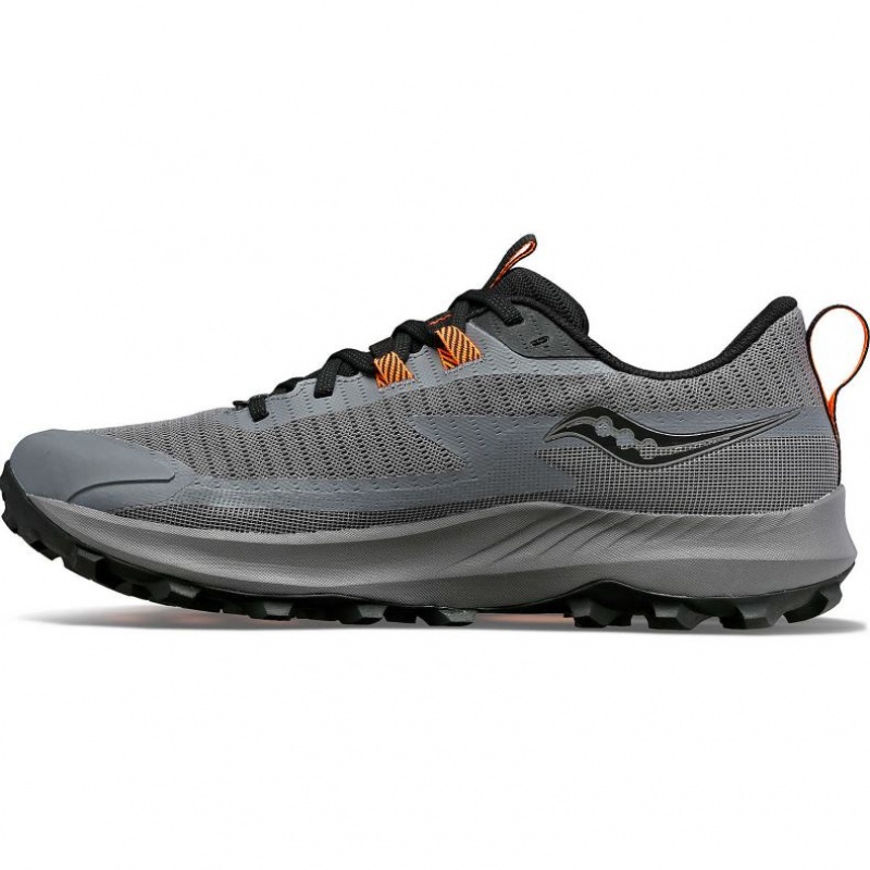 Saucony Peregrine 13 GTX Trailrunning Schuhe Herren Grau | BERLIN RQOEAH