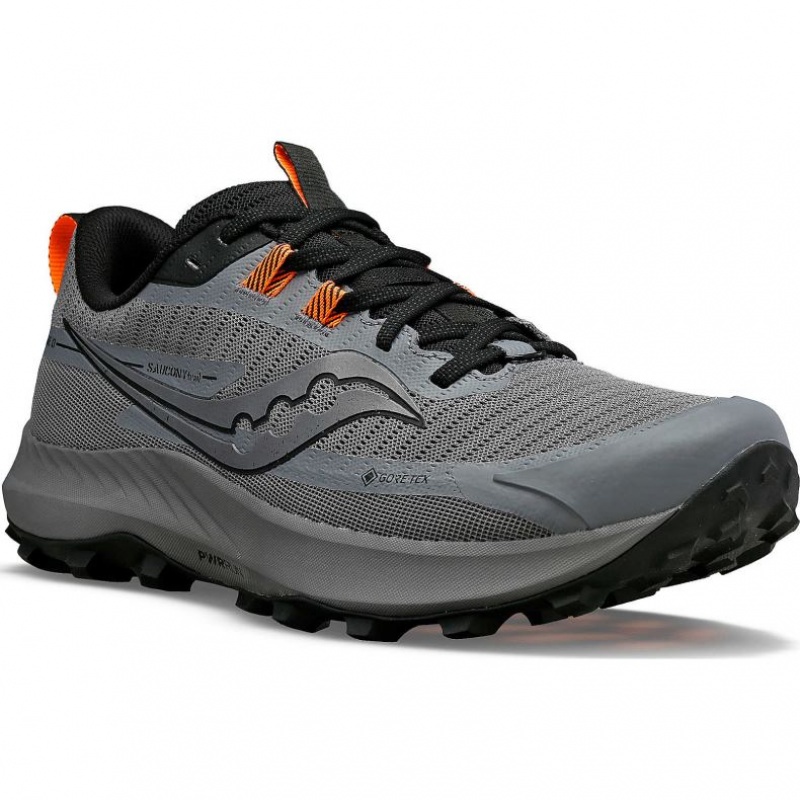 Saucony Peregrine 13 GTX Trailrunning Schuhe Herren Grau | BERLIN RQOEAH