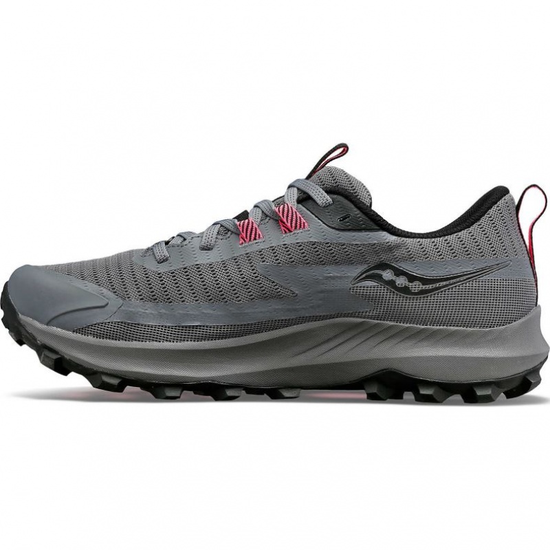 Saucony Peregrine 13 GTX Trailrunning Schuhe Damen Grau | BERLIN HQGYKZ