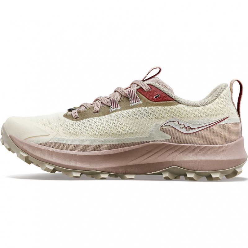 Saucony Peregrine 13 GTX Trailrunning Schuhe Damen Weiß | BERLIN ZBFWPU