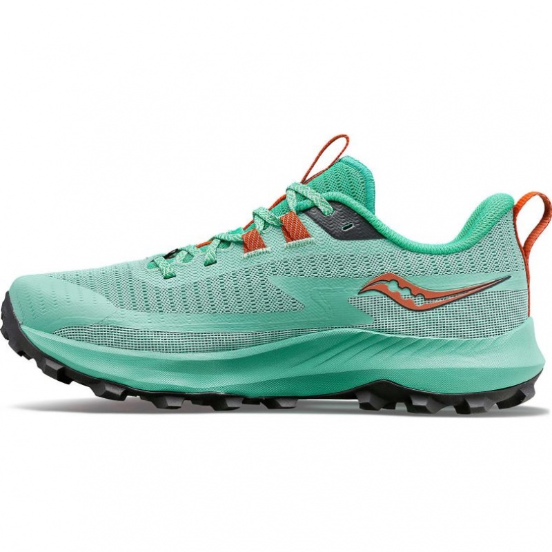 Saucony Peregrine 13 Trailrunning Schuhe Damen Türkis | BERLIN MLGAJS