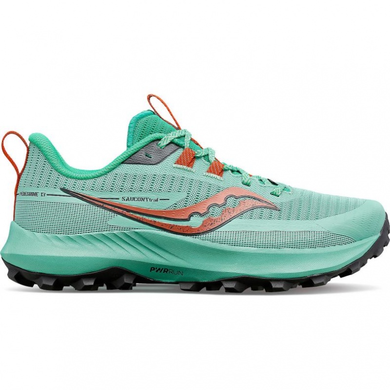 Saucony Peregrine 13 Trailrunning Schuhe Damen Türkis | BERLIN MLGAJS