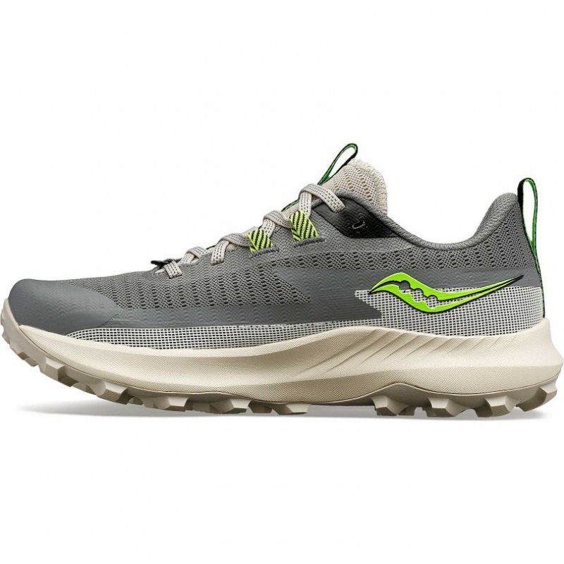 Saucony Peregrine 13 Trailrunning Schuhe Damen Grau | BERLIN LUWIZT