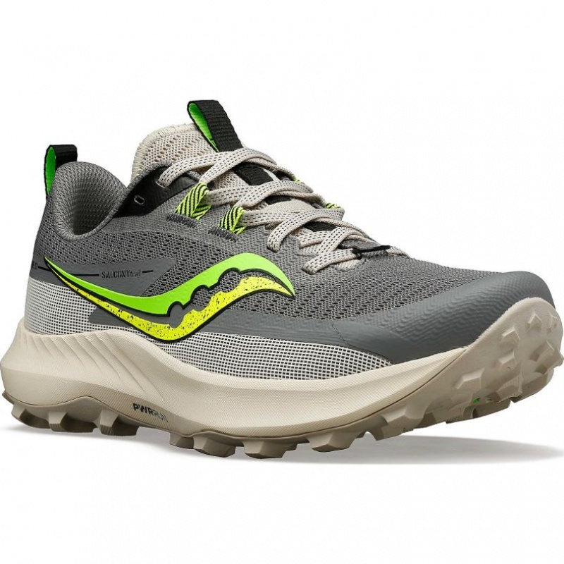 Saucony Peregrine 13 Trailrunning Schuhe Damen Grau | BERLIN LUWIZT
