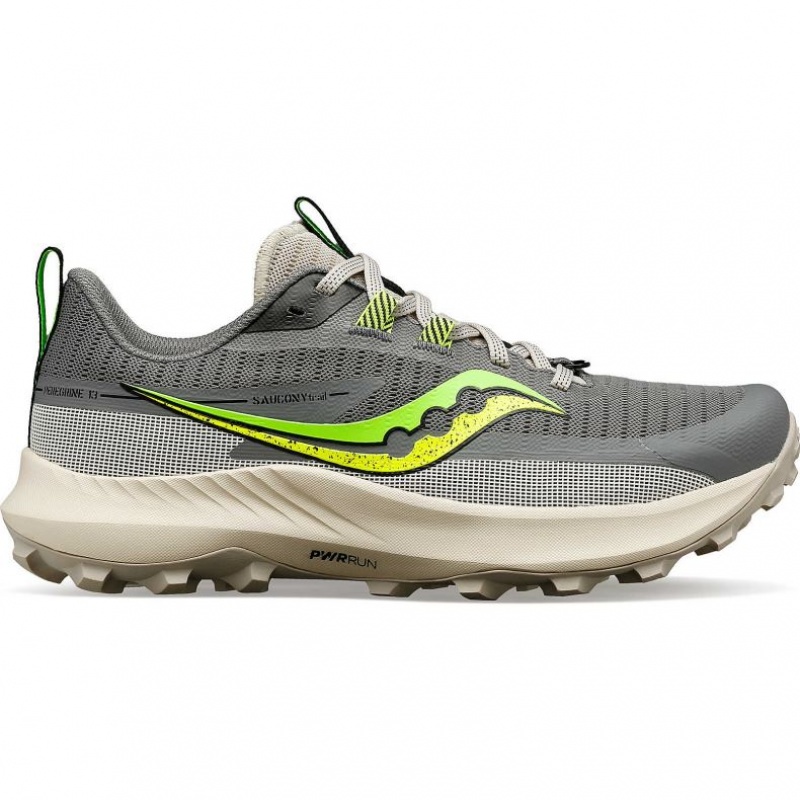 Saucony Peregrine 13 Trailrunning Schuhe Damen Grau | BERLIN LUWIZT
