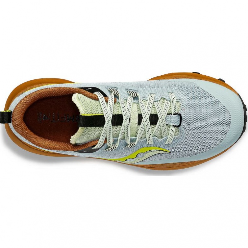 Saucony Peregrine 13 Trailrunning Schuhe Damen Hellblau Braun | BERLIN YHOFLD