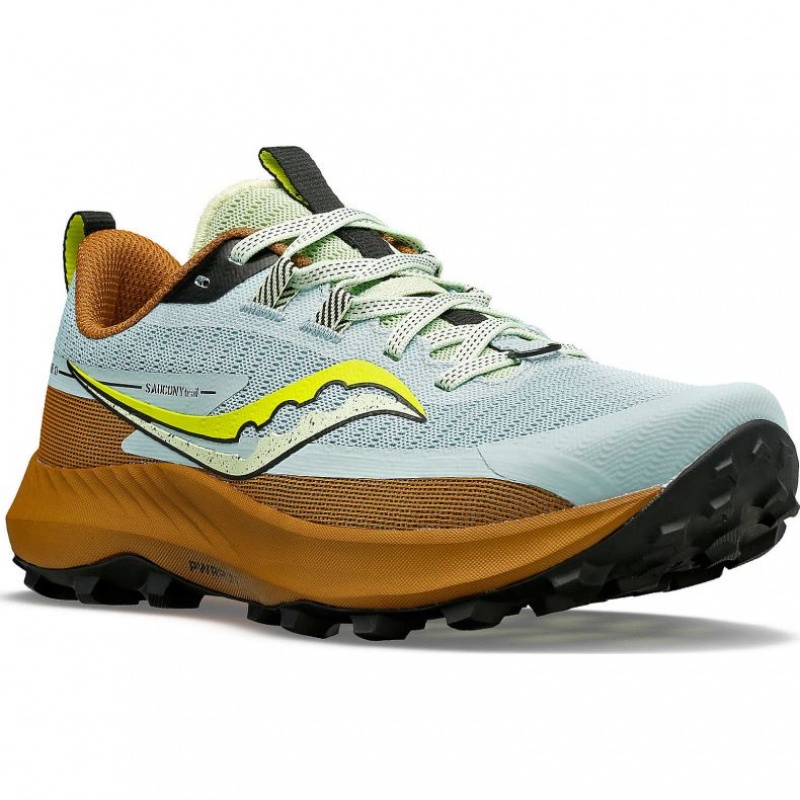 Saucony Peregrine 13 Trailrunning Schuhe Damen Hellblau Braun | BERLIN YHOFLD