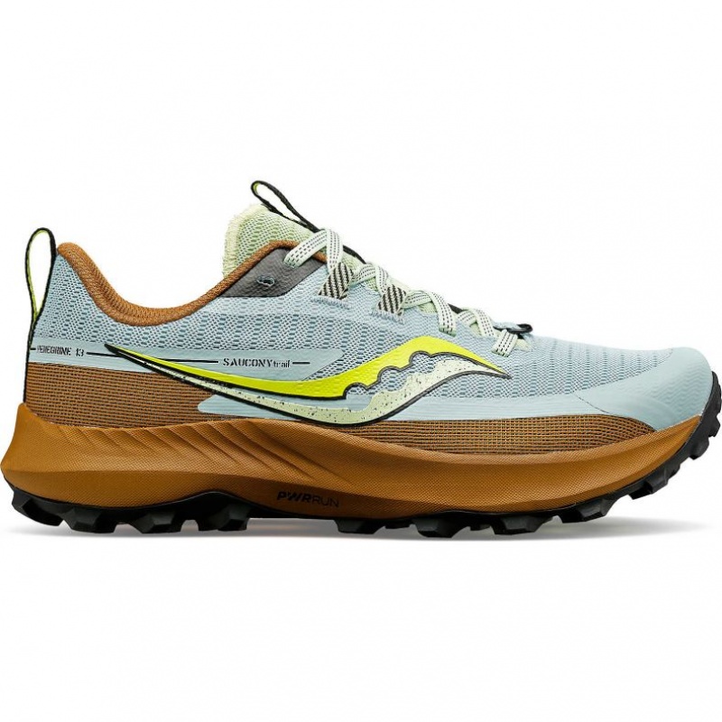 Saucony Peregrine 13 Trailrunning Schuhe Damen Hellblau Braun | BERLIN YHOFLD