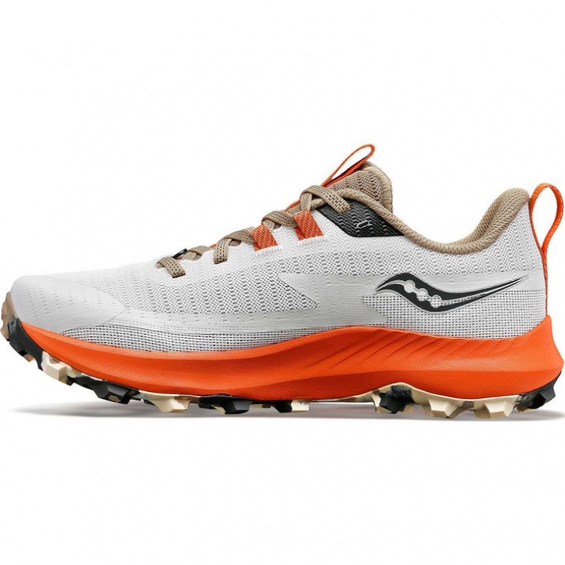 Saucony Peregrine 13 Trailrunning Schuhe Damen Weiß | BERLIN ZXKRLD