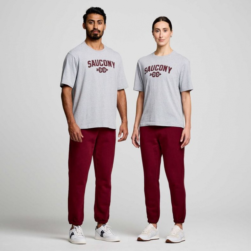 Saucony Recovery Kurzes Sleeve T-Shirt Damen Hellgrau | BERLIN IVSCKB