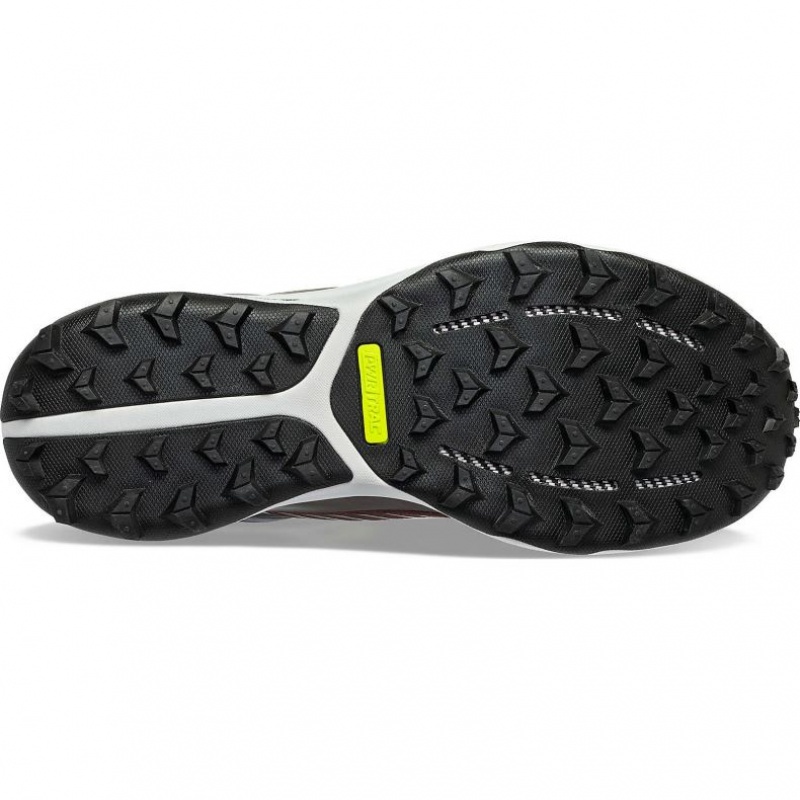 Saucony Ultra Ridge GTX Trailrunning Schuhe Damen Braun | BERLIN WQYMHC