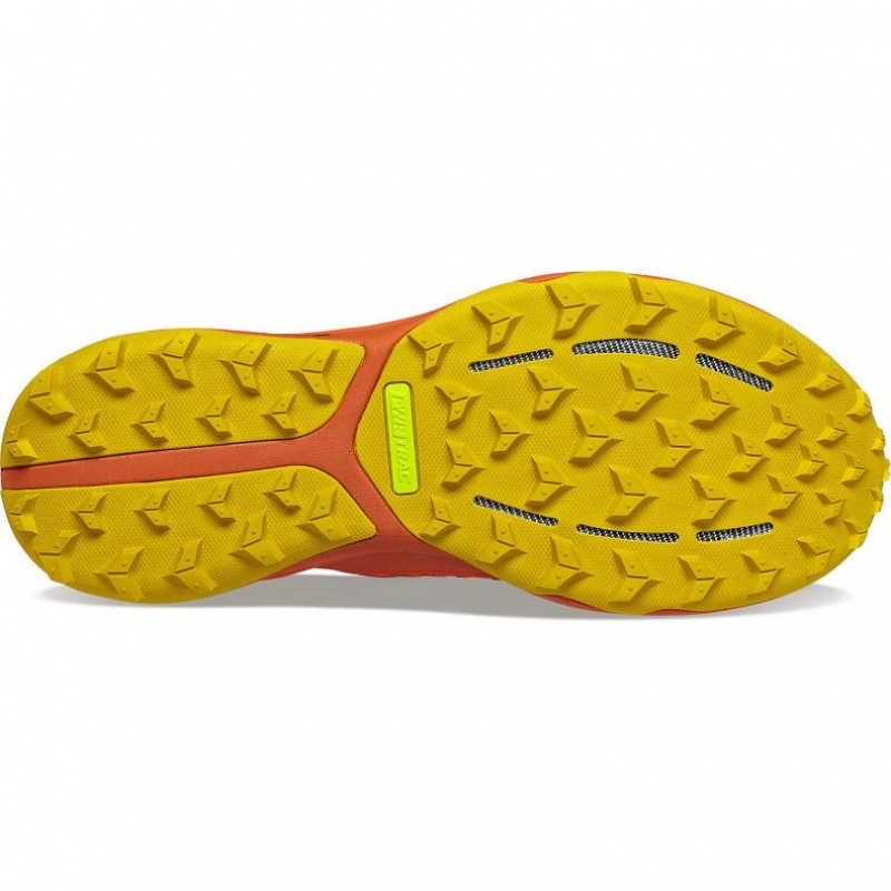 Saucony Ultra Ridge GTX Trailrunning Schuhe Damen Orange | BERLIN ZHOVMF