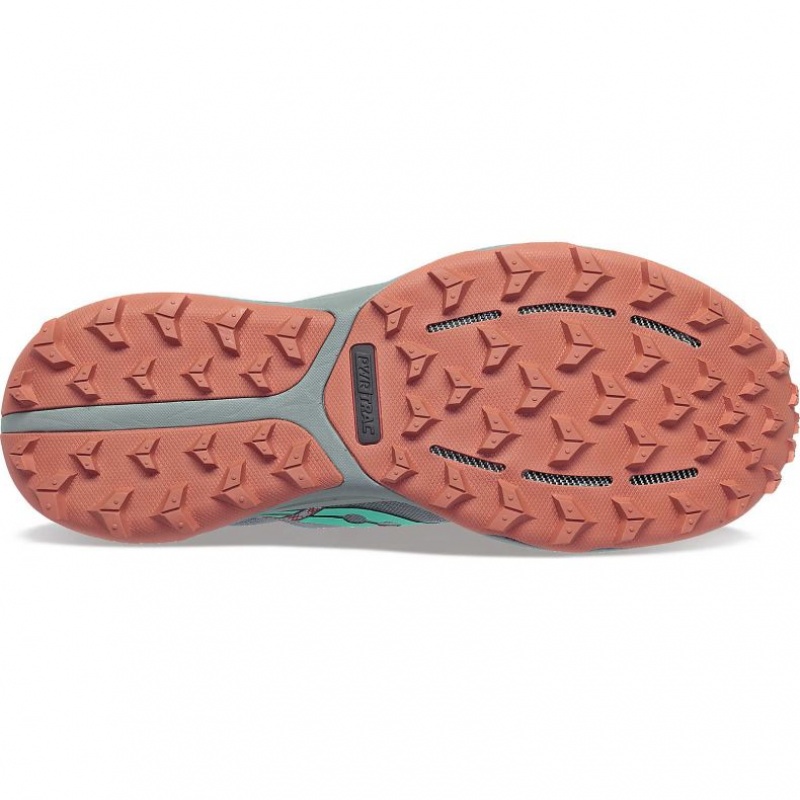 Saucony Xodus Ultra 2 Trailrunning Schuhe Damen Grau | BERLIN VWYTXK